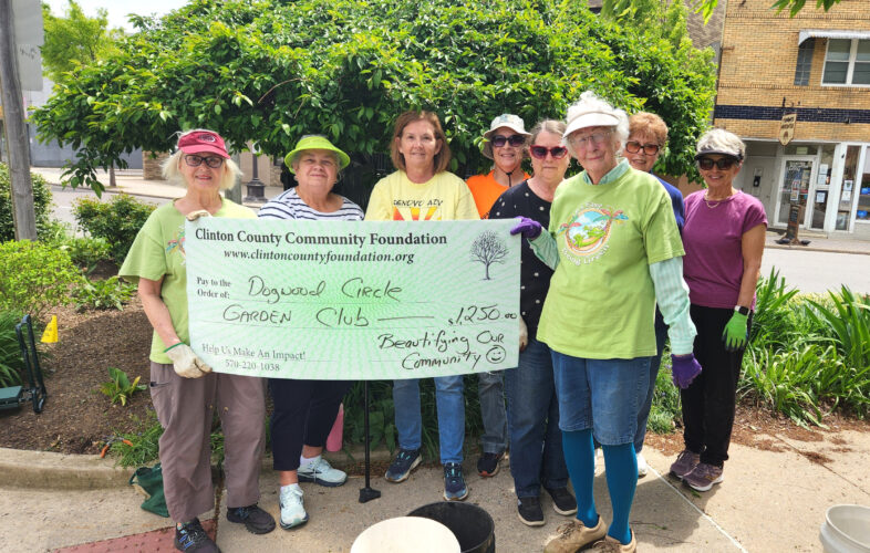 Dogwood Circle Club continues beautification work with support from community foundation